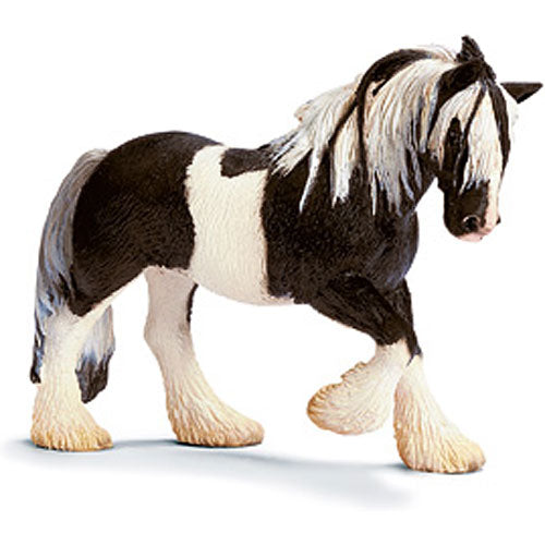 Tinker Mare