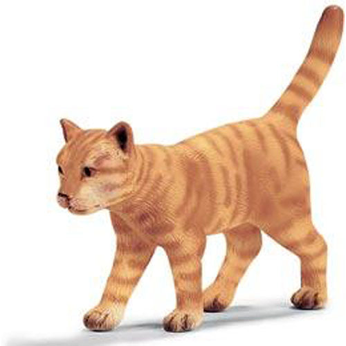 Cat Walking