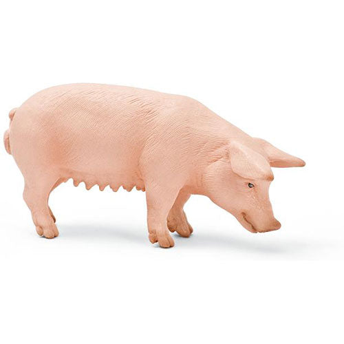 Sow Standing
