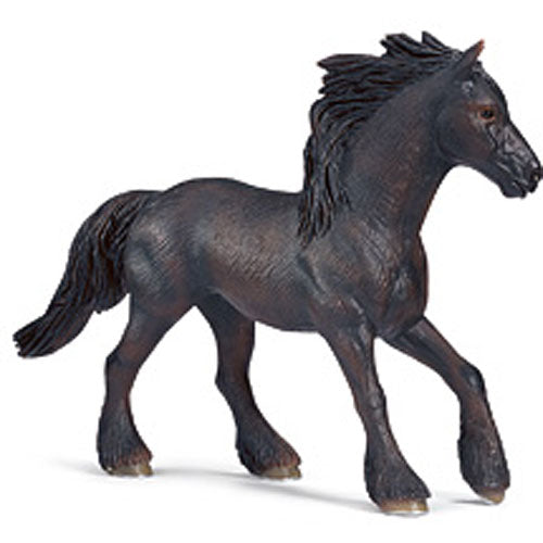 Frisian Mare