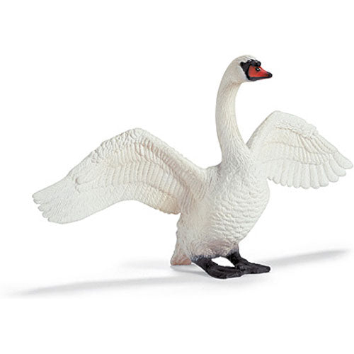 Swan