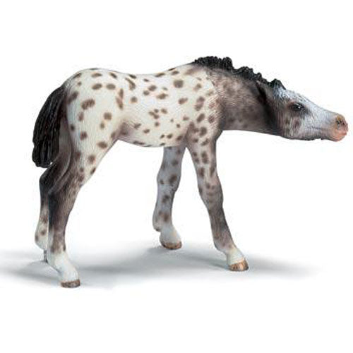Knabstrupper Foal Suckling