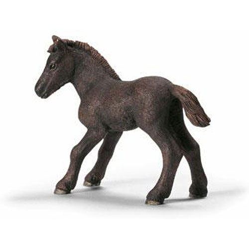 CAMARGUE FOAL