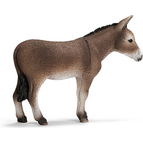 DONKEY