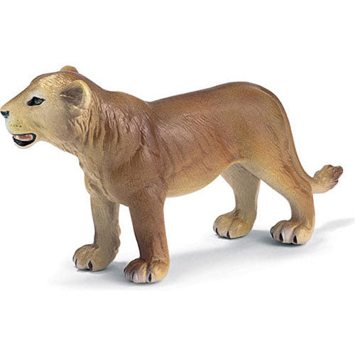 Lion Cub Standingf
