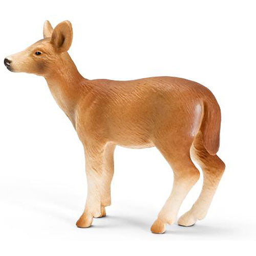 White Tailed Doe