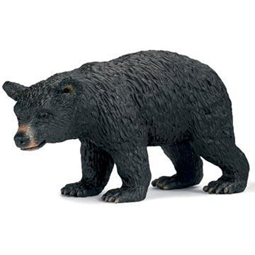 BLACK BEAR FEMALE