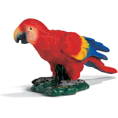 Macaw