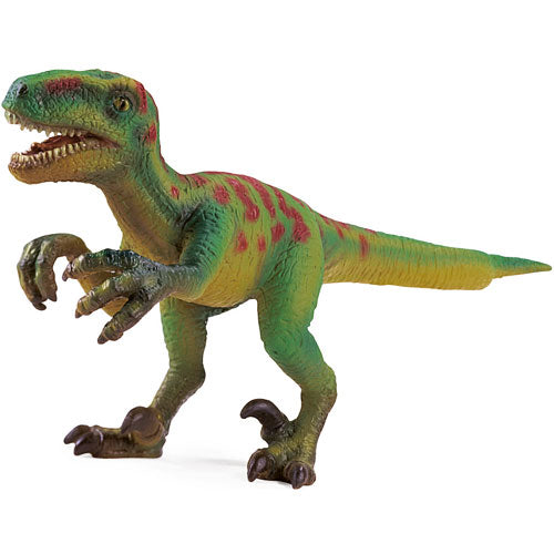Velociraptor