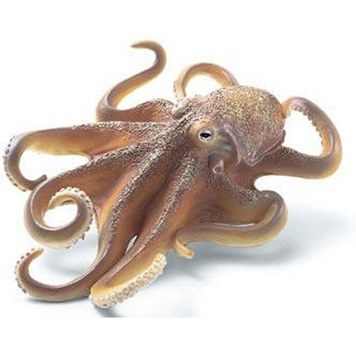 GIANT OCTOPUS
