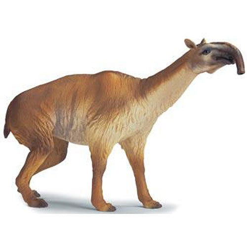 Macrauchenia