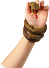 Wrist Rattler