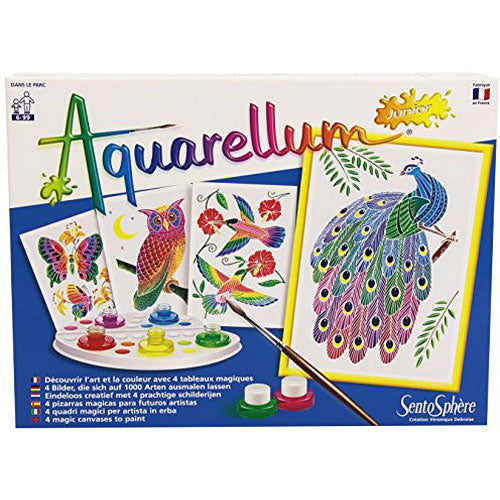 SentoSphere In the Park Artistic Junior Watercolor Art Kit with 4 magic canvases