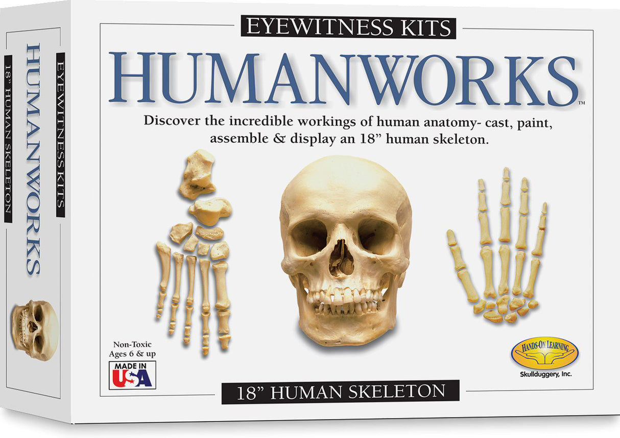 Eyewitness Kit - Humanworks