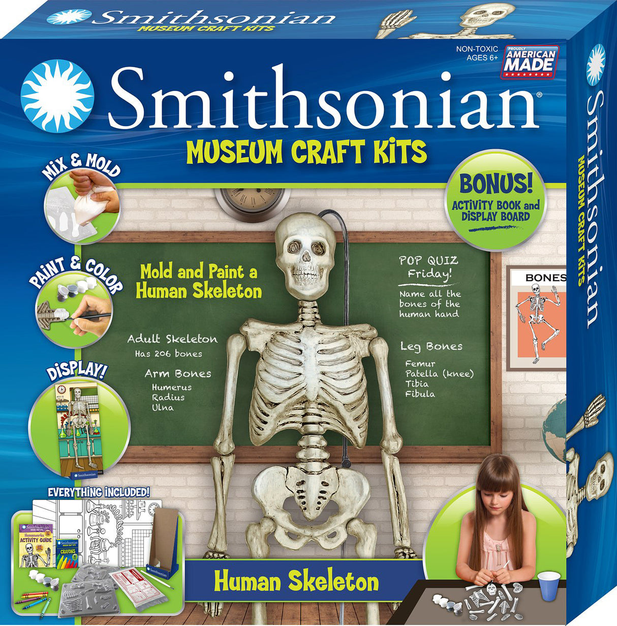 Smithsonian Museum Craft - Human