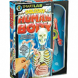 Squishy Human Body