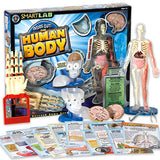 Inside Out! The Human Body