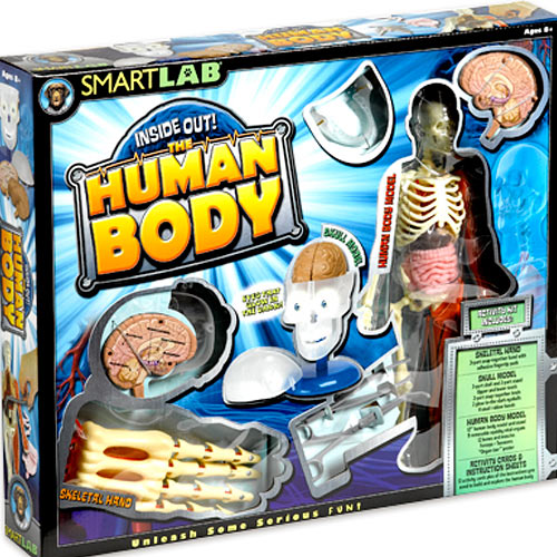 Inside Out! The Human Body
