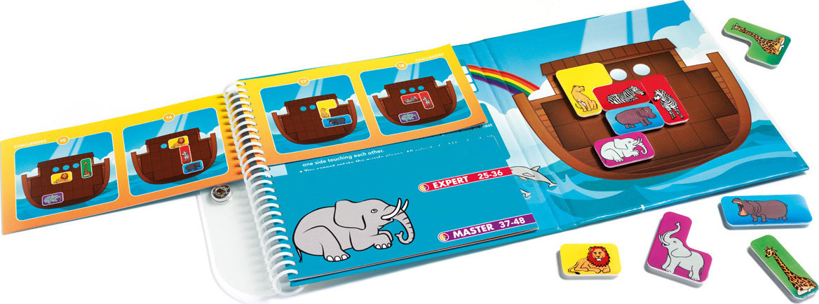 Noah's Ark