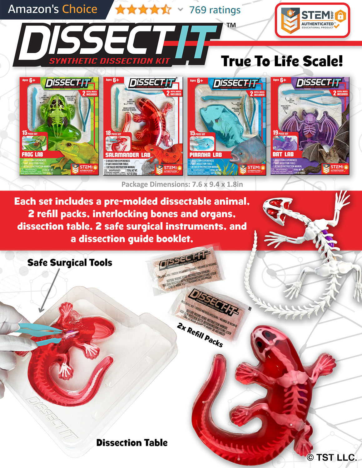 Dissect-It Salamander Lab Kit – Givens Books & Little Dickens