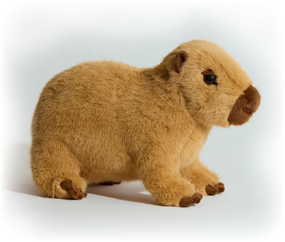 Chattie Capybara Soft