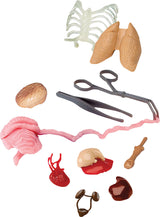 Smart Lab Squishy Human Body