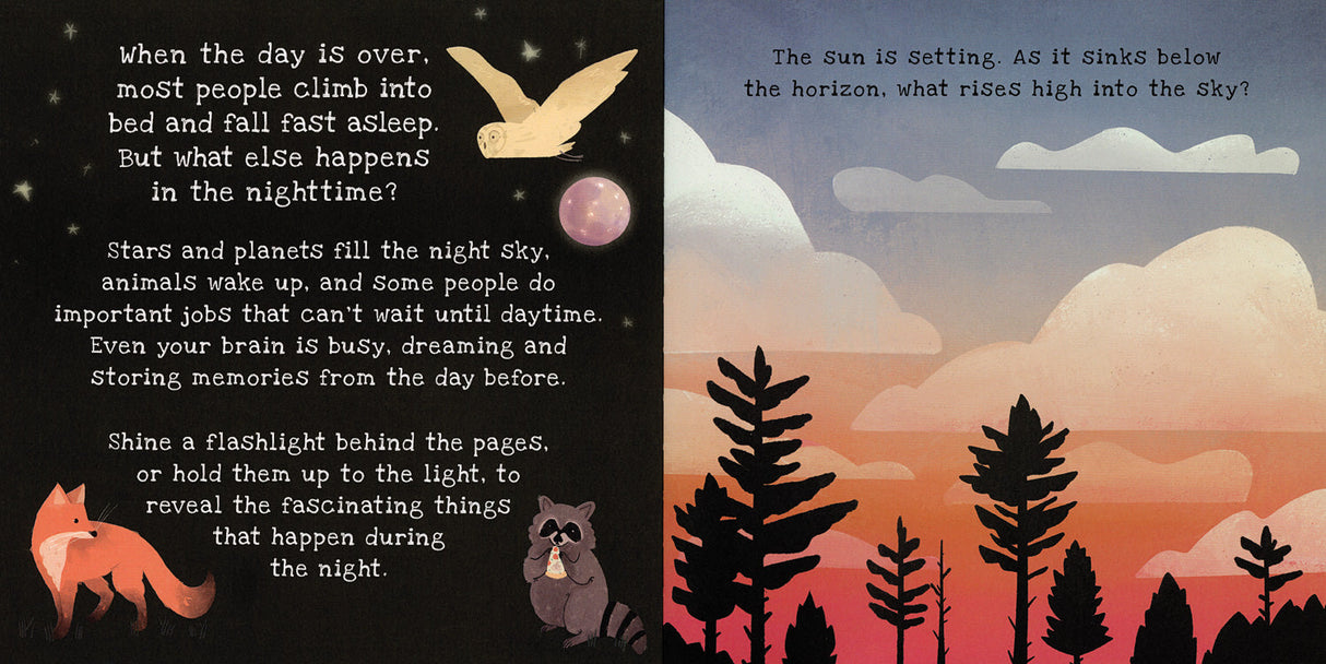 Nighttime A Shine-A-Light Book