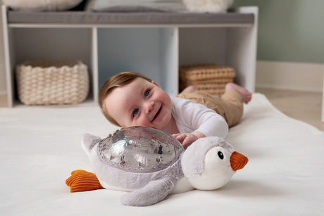 Cloud b Tranquil Penguin