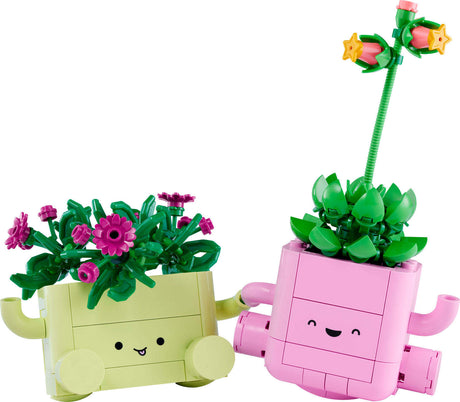 BOTANICALS Rocking Plants