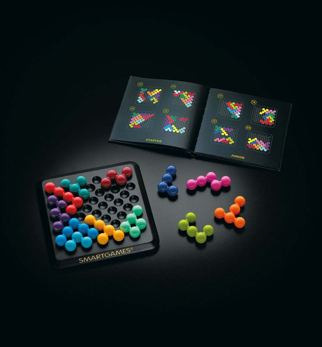 IQ Puzzler Deluxe Edition Logic Game