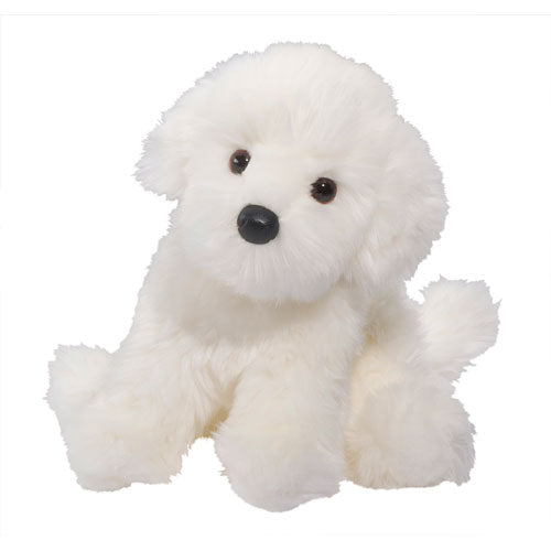 Puff Ball Bichon Pup