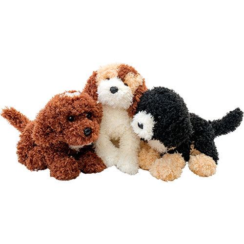 Douglas Cedar Chocolate Labradoodle