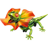 Kingii Dragon Robot Kit