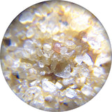 Smartphone Inspector Microscope