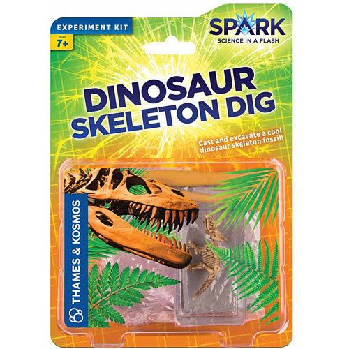 Dinosaur Skeleton Dig