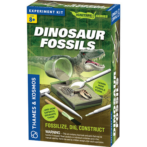 Dinosaur Fossils