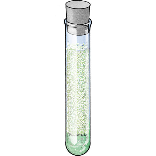 Chem C500 Catalog 2012