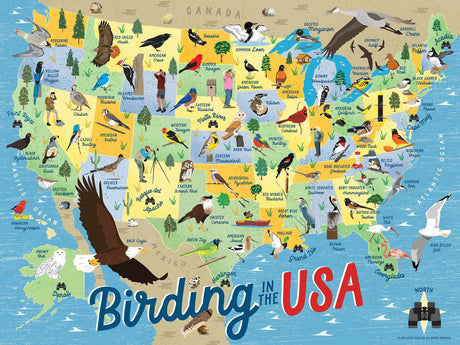 Birding In The Usa-500 Piece