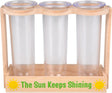 Root Viewer Science Kit 8" X 10.5"