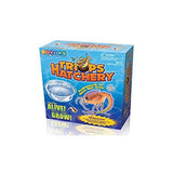 Triops Hatchery