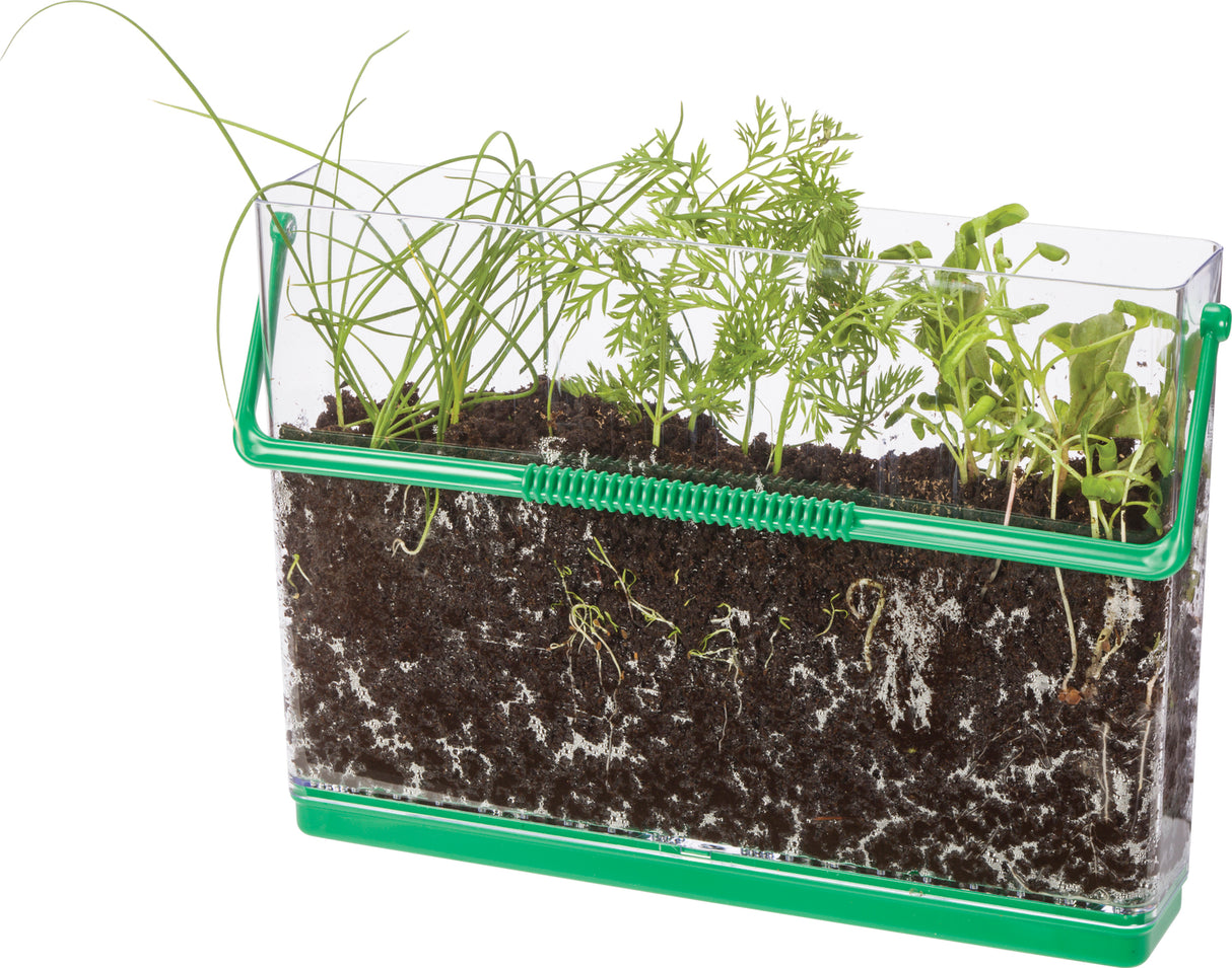 Deluxe Root Viewer