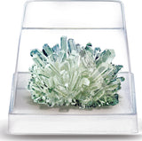 Steam Deluxe Crystal Science (6)