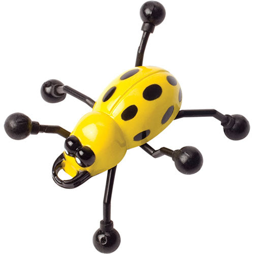 Wall Bugs
