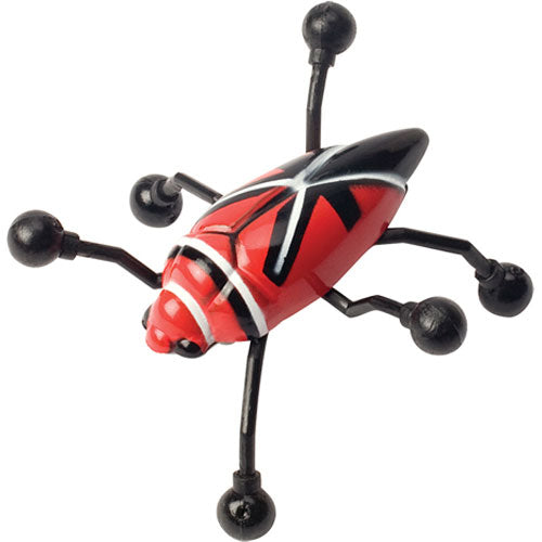 Wall Bugs
