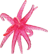 Sticky Starfish