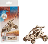 Desert buggy
