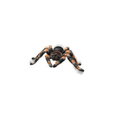 RC Tarantula