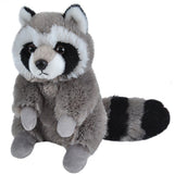 Raccoon Stuffed Animal - 8"