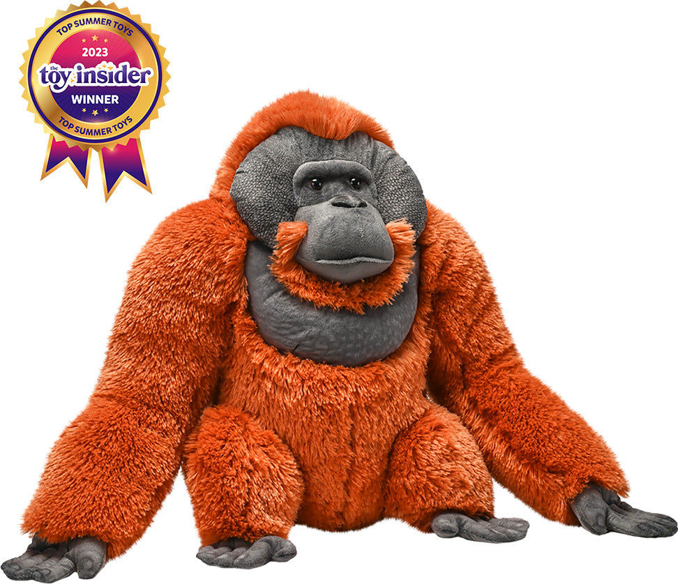 Artist Collection - Male Orangutan