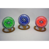 gamma brain wing - Catalog